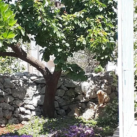 Casa Vacanze A Sud Del Ciolo